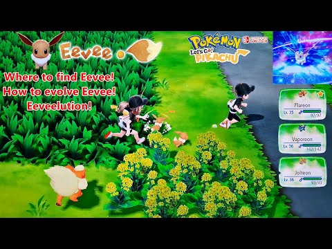 Mystery Blind Box Pokemon Eevee Evolution Evolve Version