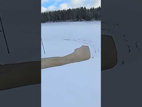 Video: Karstijärv on ainulaadne looduse looming