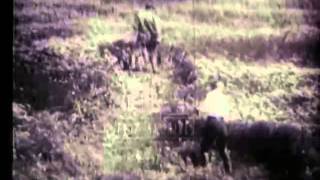 Industrial Agriculture, 1920's - Film 7578