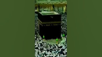 ماهو سند القرآن الكريم؟ الشيخ صالح الفوزان