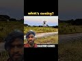 The Lion King arrives #trending #wildlife #animals #youtubeshorts #lion #hyena #nature