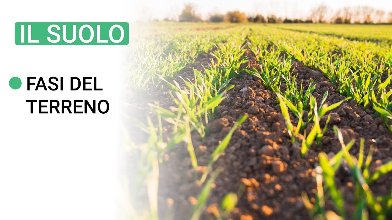 I componenti del TERRENO - Fase Solida, Liquida e Gassosa