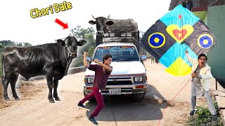 Download Lagu Kite \u0026 Nasir Cow Chori Sale 😱 MP3 Download Lagu Kite \u0026 Nasir Cow Chori Sale 😱 MP3