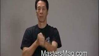 Samuel-Kwok teaches Wing Chun PUNCHES P-1