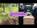 Online Funeral celebrant training courses | Start Today | Learn how to become a funeral celebrant.