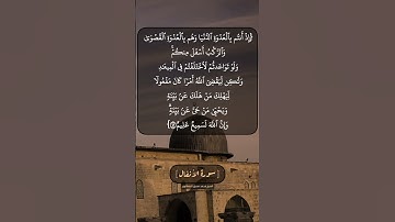 سورة الأنفال الآية ٤٢ بصوت الشيخ محمد صديق المنشاوي