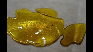 Strain Review "Girl Scout Cookies" Shatter by Shore Naturals (Maryland Medical Cannabis)