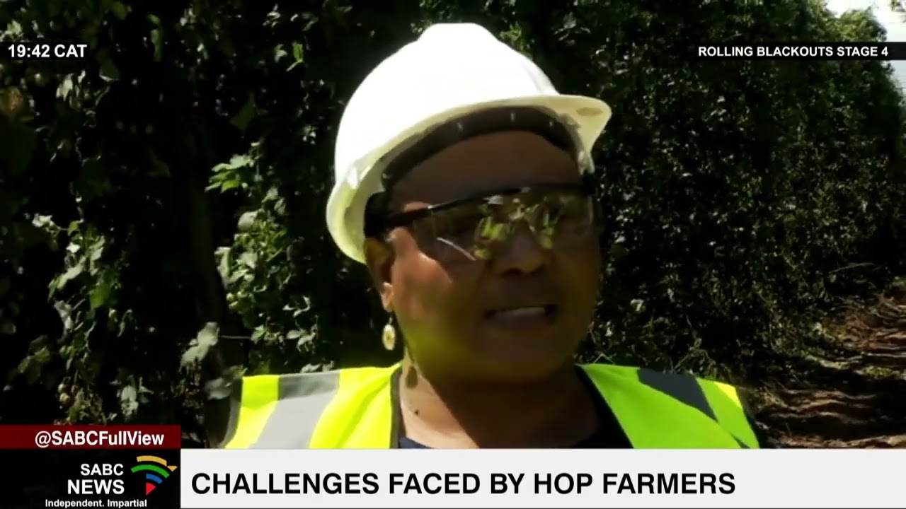 Challenges faced by hop farmers