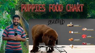 30 Days to 6 months puppies food chart ? |Puppies food shedule | Puppies feeding Ratio Tamil