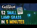 Small lamp grass locations  fast and efficient  ascension materials genshin impact