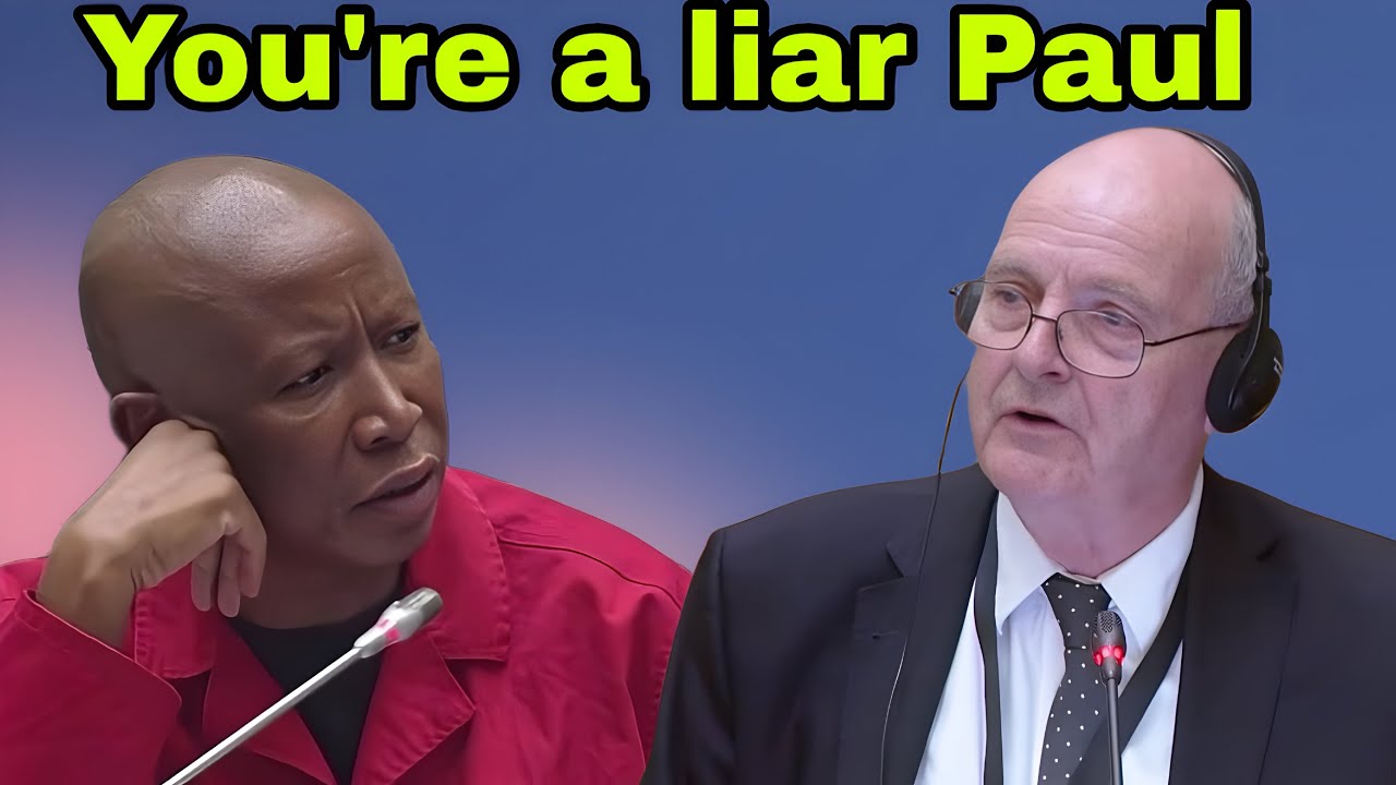 Julius Malema Slamming Paul O'Sullivan for claiming to have engineering qualification.