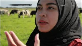 Muslim Travelers - Kehidupan Umat Muslim di Selandia Baru - 07 Juni 2016