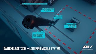 Switchblade 300 Loitering Munition System