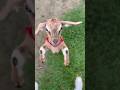 WWE Fight with GOAT #travel #goat #goats #animals #fighter #fighting #views #viral