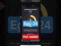 Hot wallet egg 24 #hotwallet #eggs