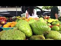 Oahu's Largest Farmers Market, Kakaako Farmers Market