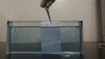 Demonstration of Thin Layer Chromatography (TLC)