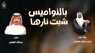 حصرياً شيلة بني مالك بجيلة لابو النفس الضعيفه لابو عارها🔥تفني الروح دون ديارها⚡️2023