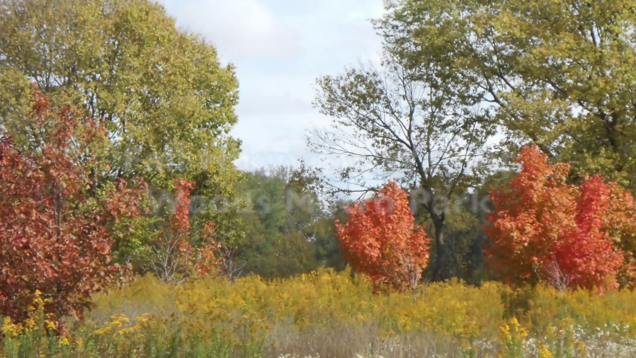 Fall hiking at Walnut Woods