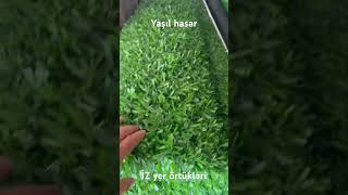 Yaşıl Setka Hasar Eni 1 Metr Və 2 Metrdir.