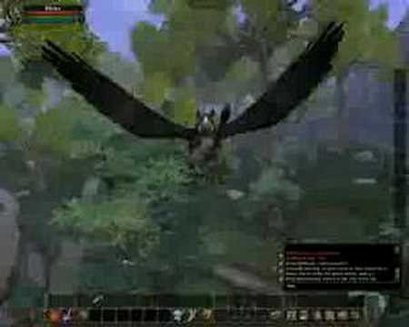 Vanguard Saga of Heroes: Flying Mount Footage