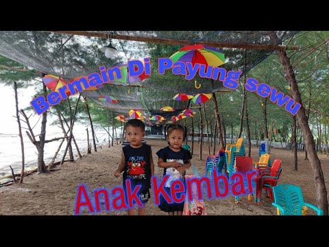 Video: Kembar Di Pantai