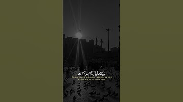 تلاوة جميلة 🪴 #اكسبلور #القزابري #دويتو #المصحف #تيك_توك #راحة_نفسية #الرحمن #لايك #العظماء #ترند