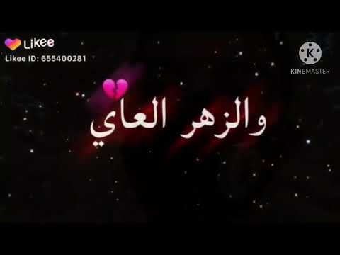 نمشي بالنية ما درت الحيلة