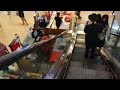 I Ask Some In Quezon City How To To Get OMA Certificate From NCMF And I Went To SM Mall To Cool Off 