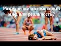 Разрушение митохондрий: миф или реальность?