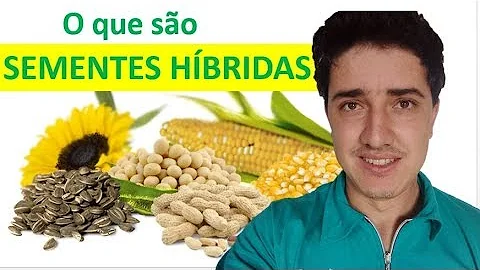 O que são formas híbridas?