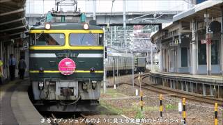 【臨時列車】特別なトワイライトエクスプレス　EF81 114号機[敦]→44号機［敦］ 24系8両　入線～機関車交換～発車　北陸本線　敦賀駅　2015年5月23日