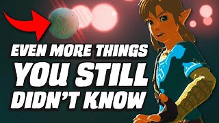 31 MORE Things You STILL Didn't Know In Zelda Breath Of The Wild