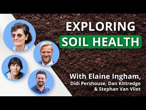 Video: Microbii din sol și sănătatea umană - Aflați despre antidepresivul natural din sol