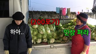 시집오고 처음하는 김장ㅋㅋㅋㅋ이백포기ㅋㅋㅋ