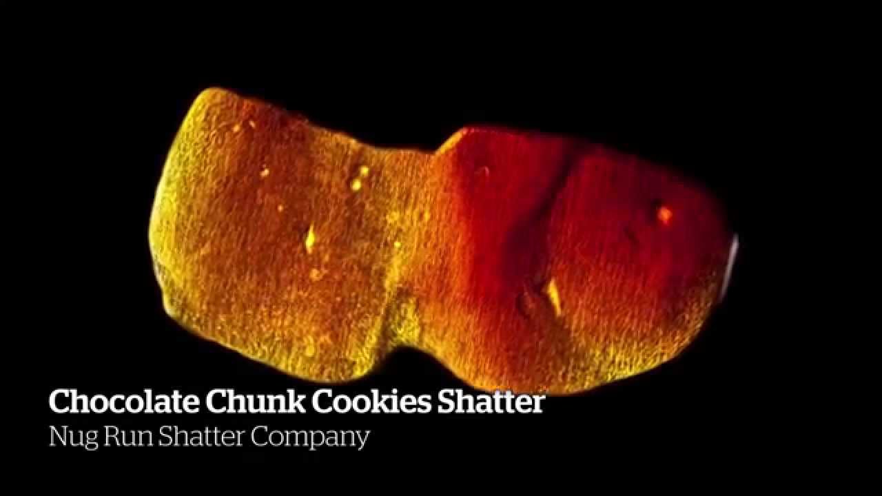 2014 HIGH TIMES Seattle US Cannabis Cup Medical Entries Part I