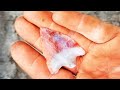 Arrowhead hunting Florida | tons of arrowheads and artifacts discovered | treasure hunting rockhound