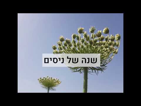 וִידֵאוֹ: מתנות ארגוניות לשותפים לשנה החדשה 2022