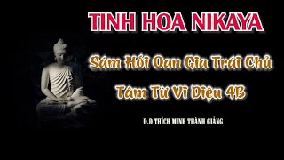 Tinh Hoa NIKAYA – Sám Hối Oan Gia Trái Chủ - Tâm Từ Vi Diệu 4B