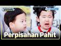 Tangisan Seobin Bikin Jungwoo Ikut Sedih 😢 | The Return of Superman [IND/ENG] | KBS WORLD TV 260524