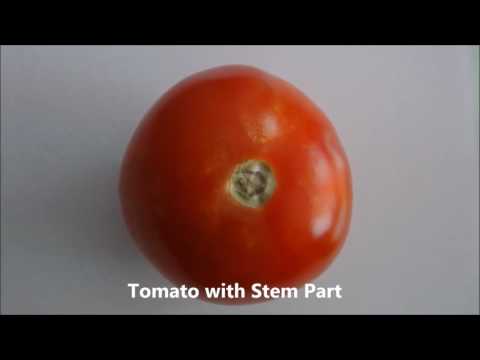 iWave's Altera Cyclone V SoC Development kit for Sorting of Tomatoes