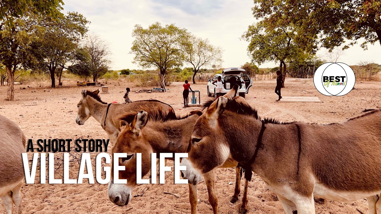 Village Story || Life in the village || Iilya Village || Namibia || Namibian docuseries