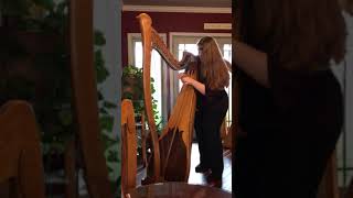 GALA 34 string custom by VAVRA Harp