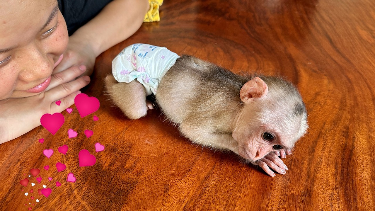 Обезьянка Каки так счастлива иметь любящую маму!!!