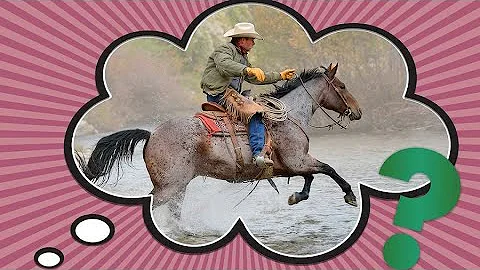 Why Do Cowboys Say “Yee-Haw”?