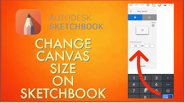 How to Change Canvas Size in Sketchbook 2023?