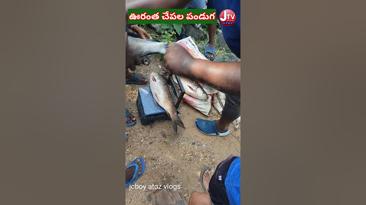 మా ఊరి చెరువులో చేపలు// fish catching my village ఊరంత పండుగ  మృగశిర చేపల జాతర
