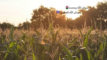 تلاوه هادئه وجميله للقارئ حميد المدني🌼