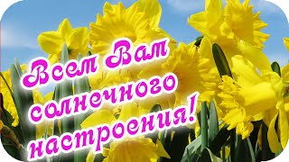 С Добрым Утром! 🌸Всем Вам Солнечного Настроения!🌸Весенняя Музыкальная Открытка🌸Good Morning!🌸