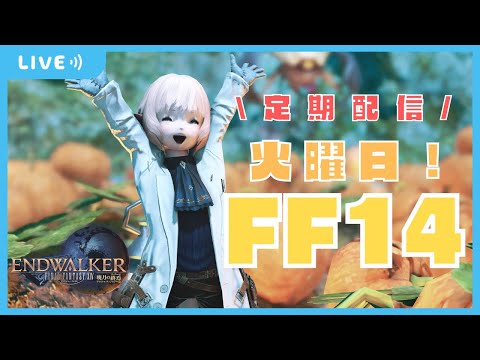 【  FF14 】火曜日だ～！まったりFF14だ～！！エキルレ＆アラルレ＆新生祭✨【Gaia/ Vtuber 】